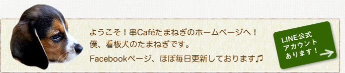 ようこそ！串Caféたまねぎのホームページへ！！僕、看板犬のたまねぎです。Facebookページ、ほぼ毎日更新しております♫